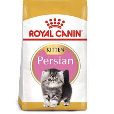 RC Persian Kitten